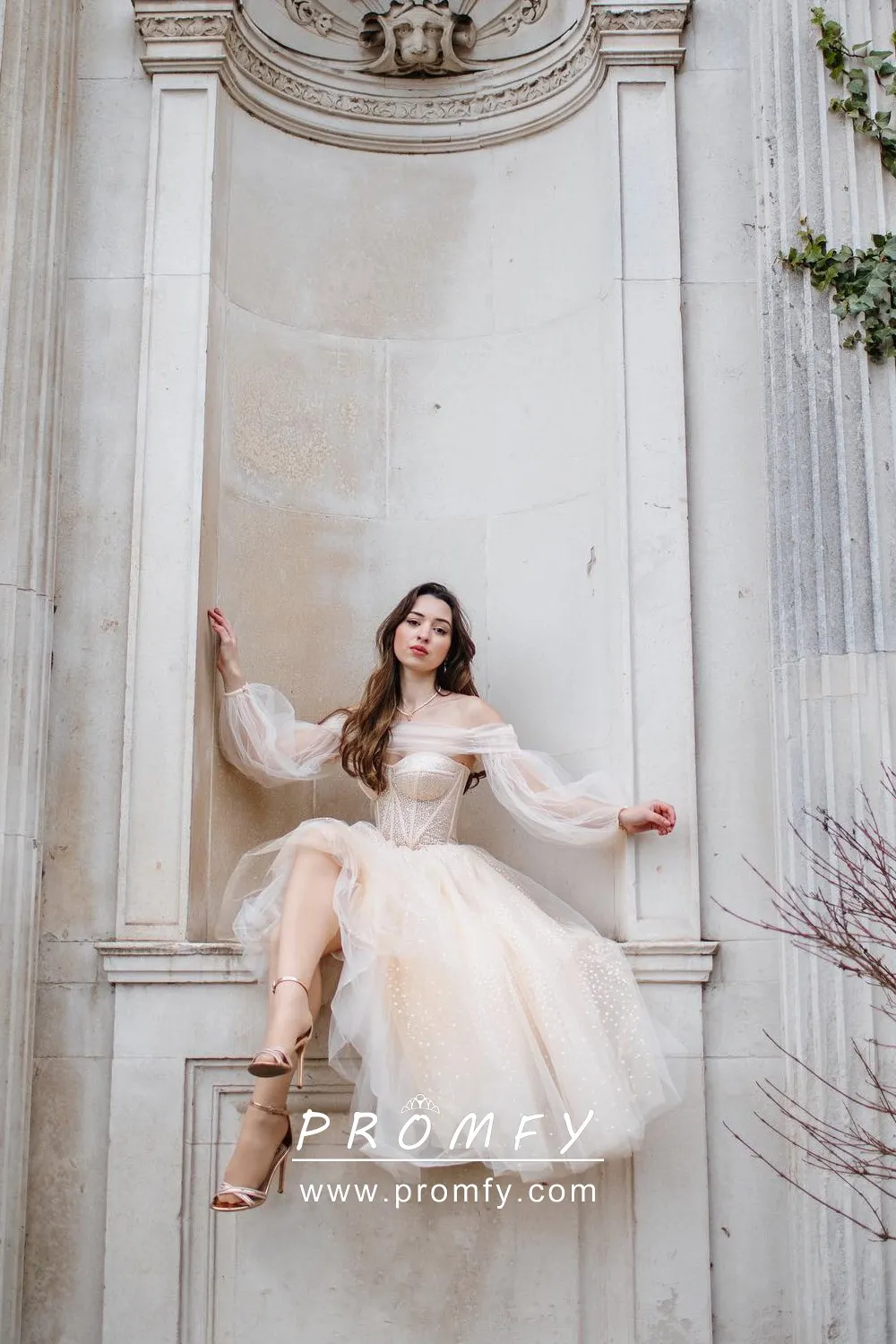 champagne tulle puff sleeve birthday dress champagne tulle puff sleeve birthday dress